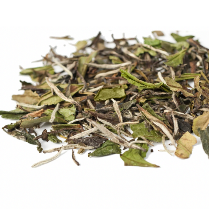 The Most “Natural” Type of Tea: White Tea?